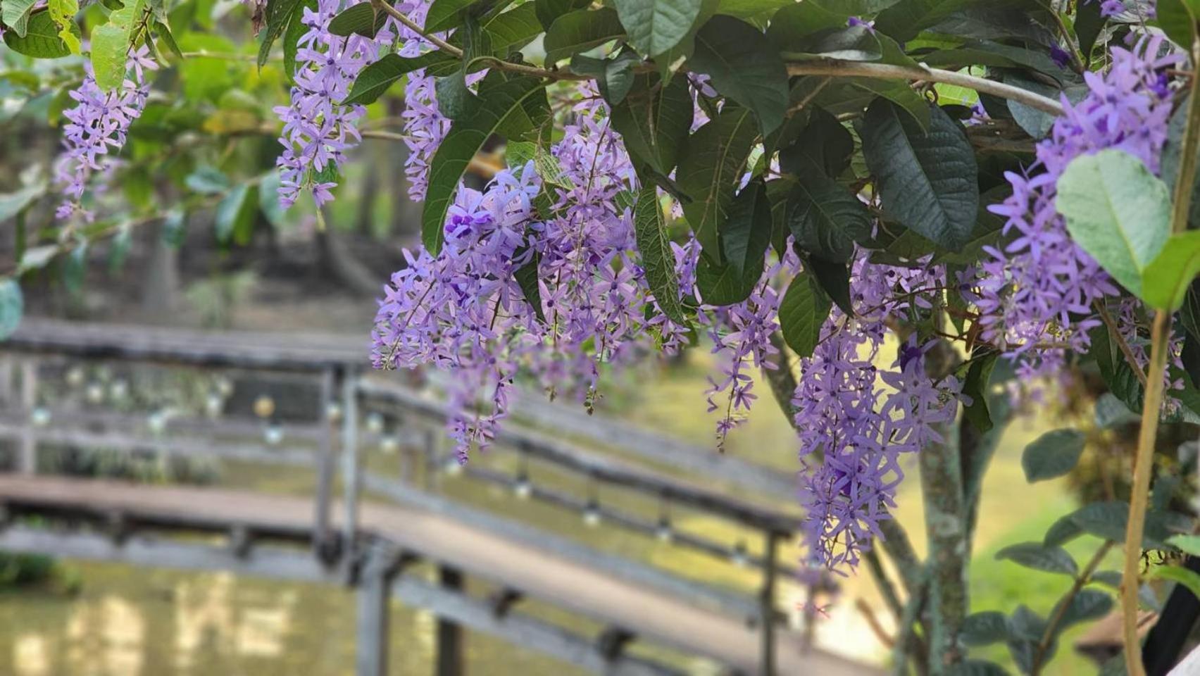 Baan Klong Resort Damnoen Saduak 외부 사진